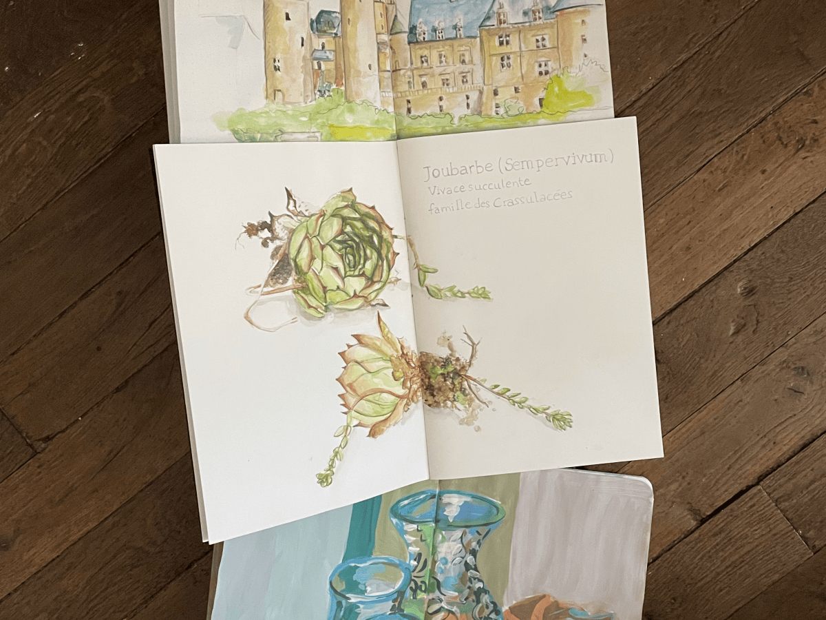 Carnets de peinture